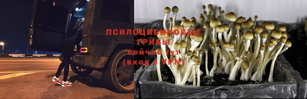 мдма Болхов
