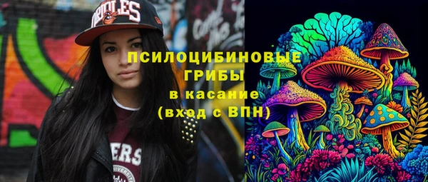 а пвп мука Болотное